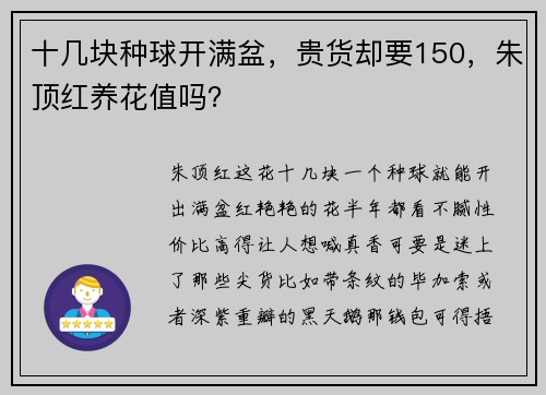 十几块种球开满盆，贵货却要150，朱顶红养花值吗？